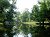 Copyright by Tibor Mikuska